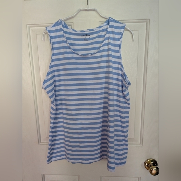 Coral Bay Blue And White  Striped Women's Top Size Large (EUC) - Picture 3 of 8
